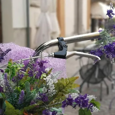 Ferienhaus Poeti & Misultin...poesia E Vacanze Sul Lago. Menaggio